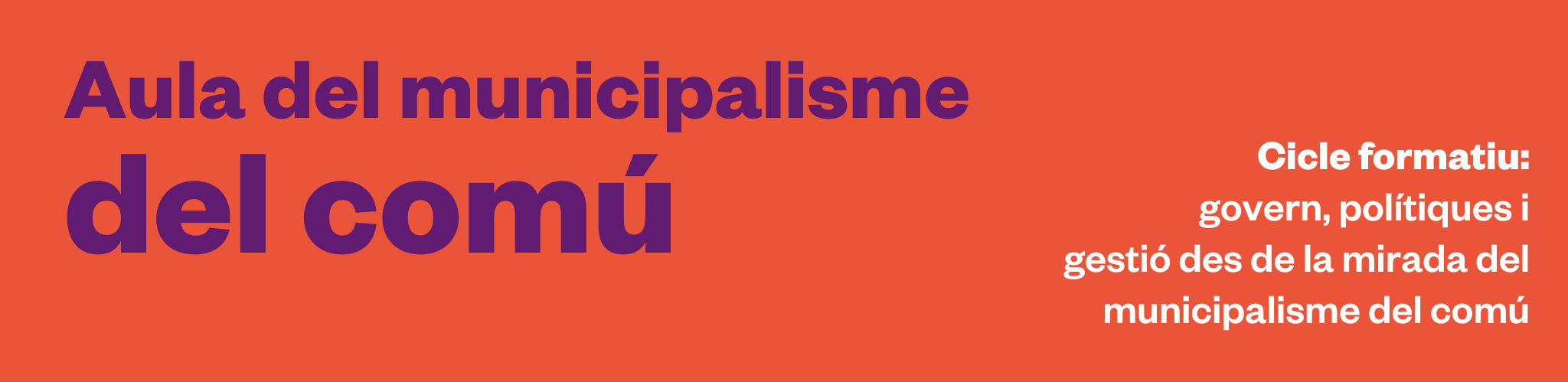 Imatge pels mitjans: Cicle Formatiu: Aula del municipalisme del Comú