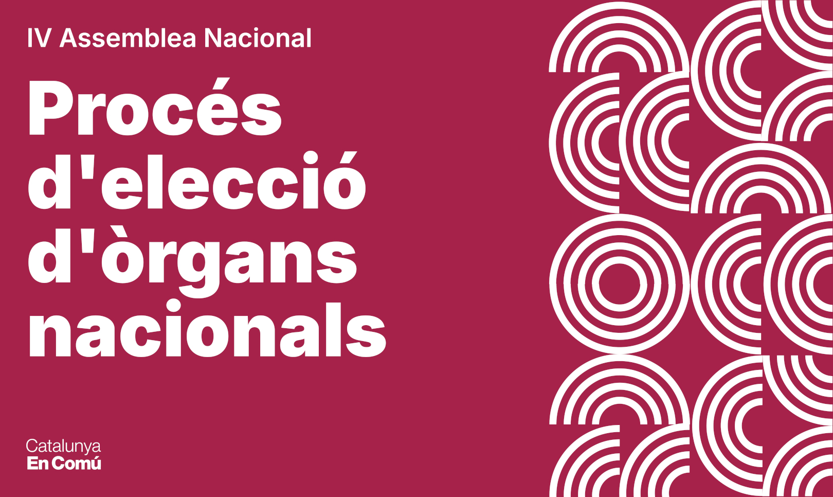 Imatge pels mitjans: Procés d’elecció d’òrgans nacionals